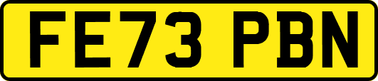 FE73PBN