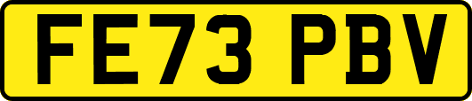FE73PBV