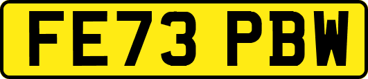 FE73PBW