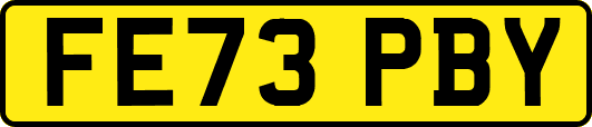 FE73PBY