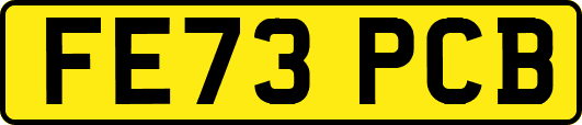 FE73PCB