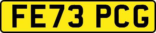 FE73PCG