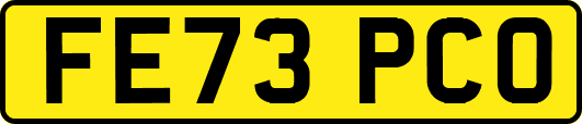 FE73PCO