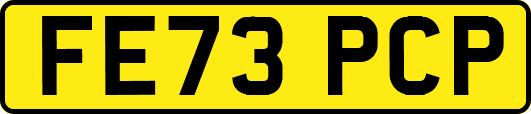 FE73PCP