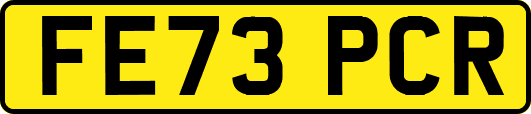 FE73PCR