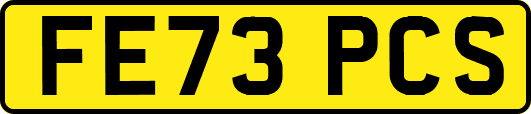 FE73PCS