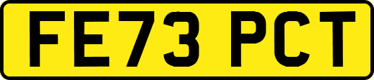 FE73PCT