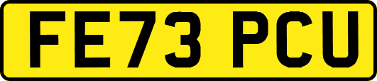 FE73PCU