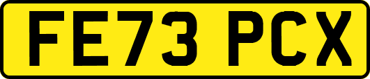 FE73PCX