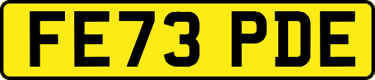 FE73PDE