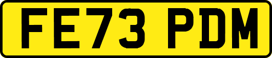 FE73PDM