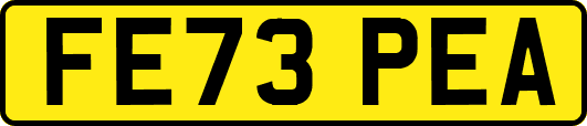 FE73PEA