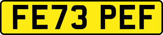 FE73PEF