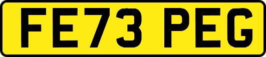 FE73PEG