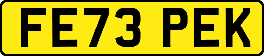 FE73PEK
