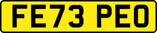 FE73PEO