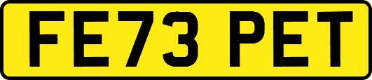 FE73PET