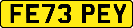 FE73PEY