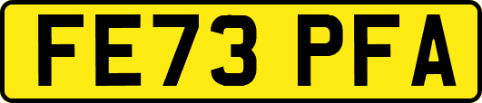FE73PFA