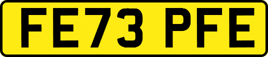 FE73PFE
