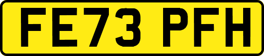 FE73PFH