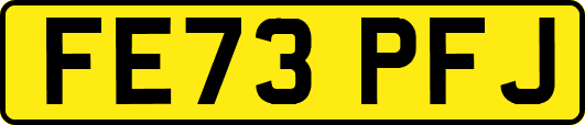 FE73PFJ