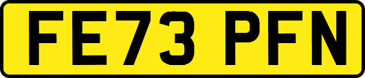 FE73PFN