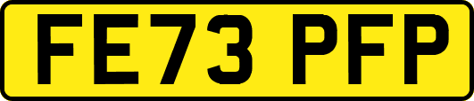 FE73PFP