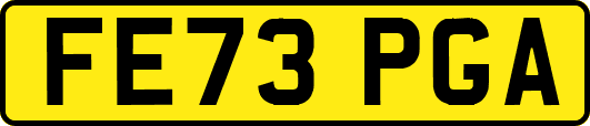 FE73PGA