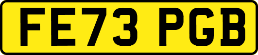 FE73PGB