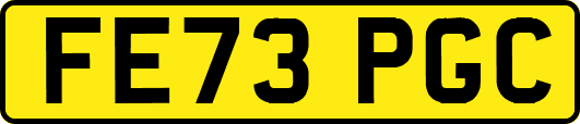 FE73PGC