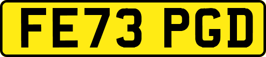FE73PGD