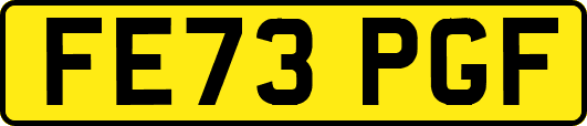 FE73PGF
