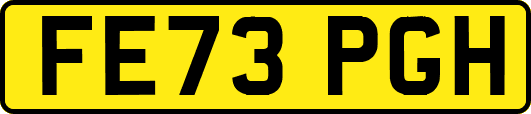FE73PGH