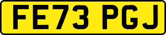 FE73PGJ