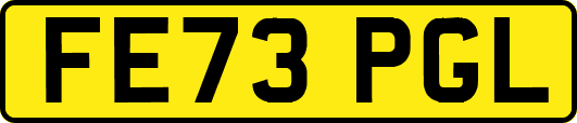 FE73PGL