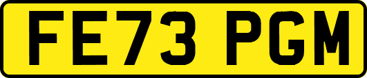 FE73PGM