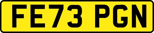 FE73PGN