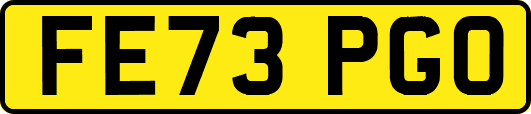 FE73PGO