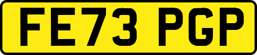 FE73PGP