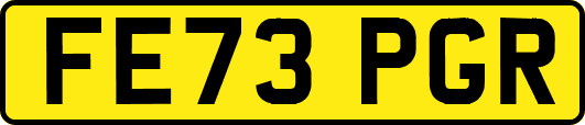 FE73PGR