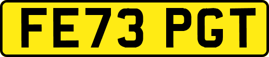 FE73PGT