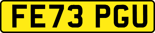 FE73PGU