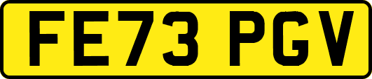 FE73PGV