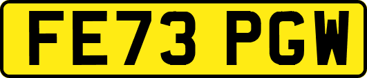 FE73PGW