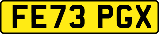 FE73PGX