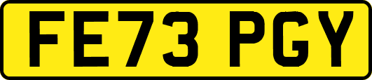 FE73PGY