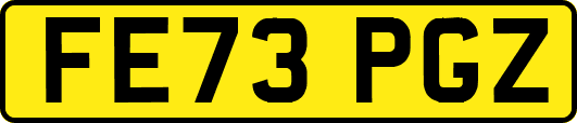FE73PGZ