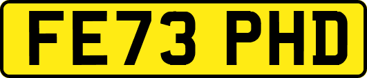 FE73PHD