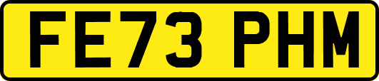 FE73PHM